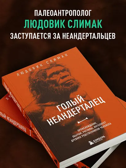 Голый неандерталец. Происхождение, обычаи, ритуалы, интеллект древних родственников человека - фото 5