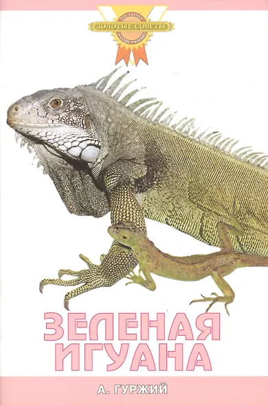 Зеленая игуана - фото 2