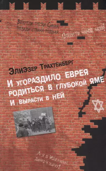 И угораздило еврея родиться в глубокой яме и вырасти в ней - фото 1