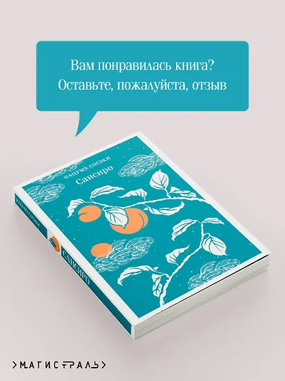 Сансиро - фото 9