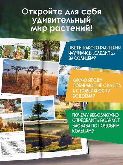 Большая книга о растениях. 1001 фотография - фото 4