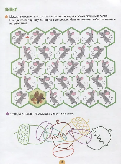 Агапина. Исследуем и изучаем! Играем и узнаём новое. - фото 5