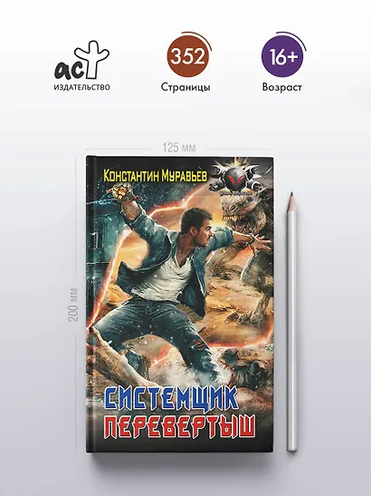Системщик. Перевертыш - фото 4