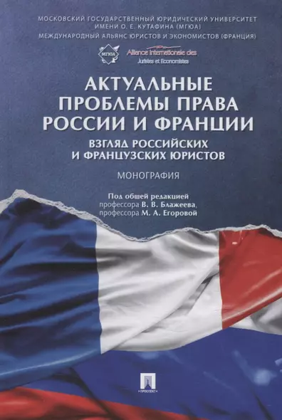 Актуальные проблемы права России и Франции: взгляд российских и французских юристов. Монография - фото 1