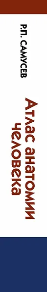 Атлас анатомии человека: учебное пособие для студентов учреждений среднего профессионального образования. 7 -е изд. - фото 5