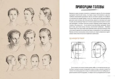 Рисунок карандашом от А до Я. Портрет карандашом - фото 10