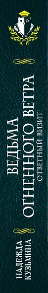 Ведьма огненного ветра. Ответный визит - фото 5
