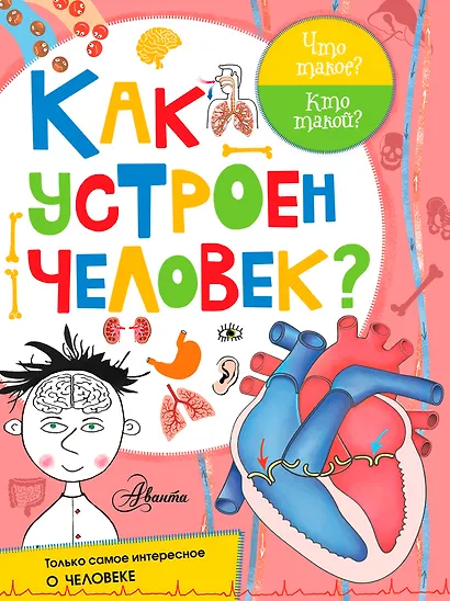 Как устроен человек? - фото 1