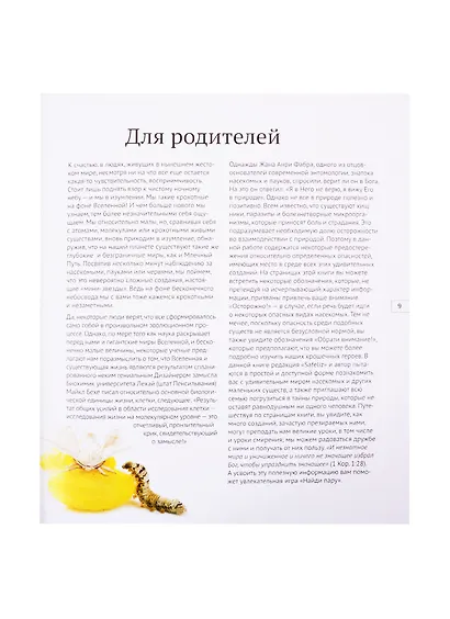 Удивительный мир насекомых - фото 3