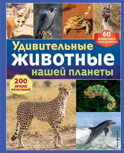 Удивительные животные нашей планеты - фото 1