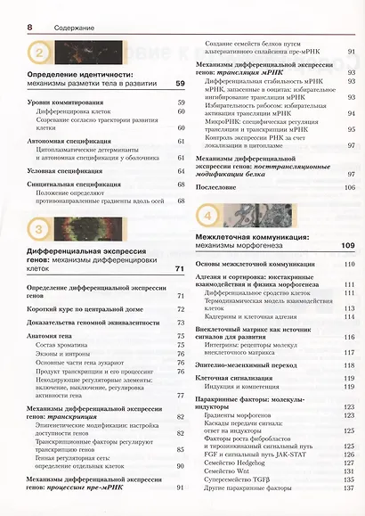 Биология развития - фото 3