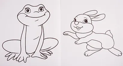 В ярком мире животных - фото 4