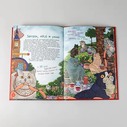 Я кот - фото 13