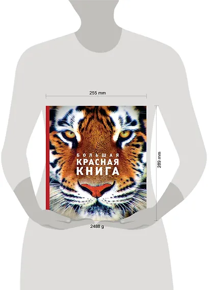 Большая красная книга (стерео-варио) - фото 4