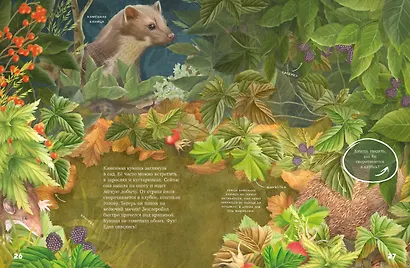 Секреты осеннего леса. Визуальная энциклопедия - фото 4