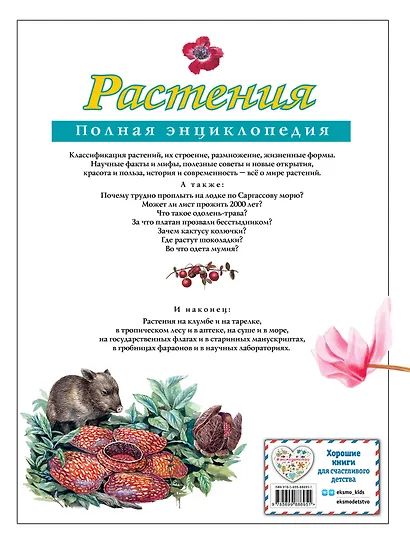 Растения. Полная энциклопедия: Мир растений в интересных фактах и красочных иллюстрациях - фото 2