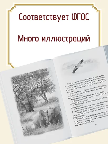 Зачем белке хвост. Рассказы и повесть - фото 4