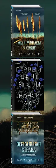 Комплект из 3 книг. Больше чем триллер (Мы начинаем в конце. Первый день весны. Зеркальная страна) - фото 15