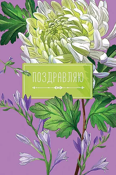 Арт Дизайн Открытка двойная Универсальная Молодежная код 230 - фото 2