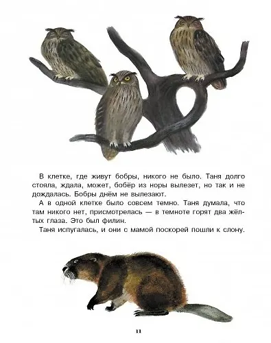 Рассказы о животных для детей - фото 7