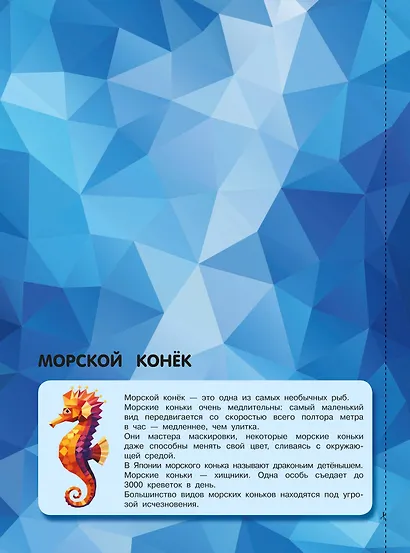 Птицы и подводный мир - фото 11