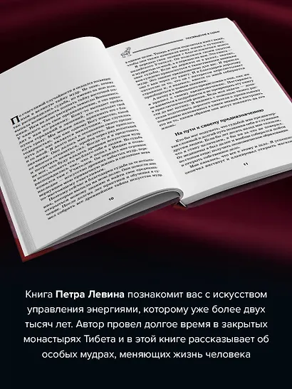 Все мудры, исполняющие желания, в одной книге. Научись управлять вибрациями Вселенной - фото 5