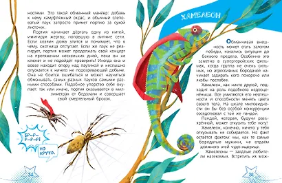 Животные-супергерои - фото 9