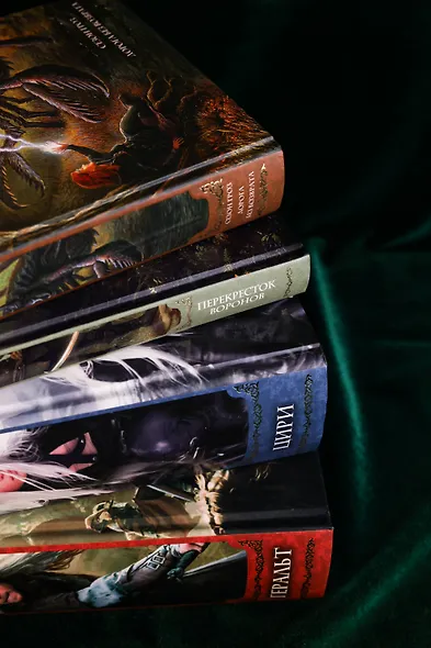 Геральт. Цири. Сезон гроз. Дорога без возврата. Перекресток воронов - фото 4