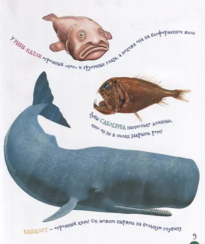 Подводный мир (Первая энциклопедия) - фото 5