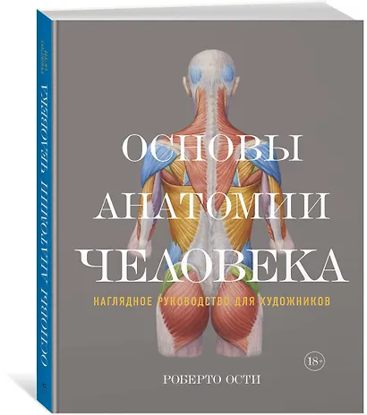 Основы анатомии человека. Наглядное руководство для художников - фото 2