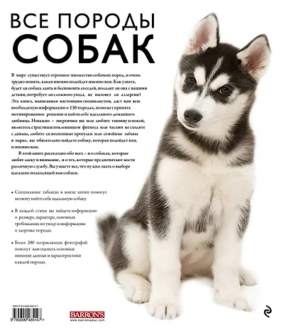 Все породы собак - фото 2