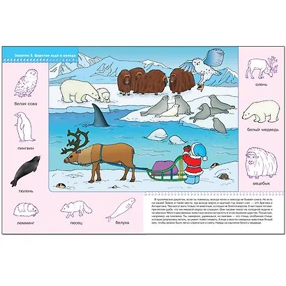 ШколаСемиГномов Развитие и обуч.детей от 2 до 3 лет Кто где живет? - фото 2