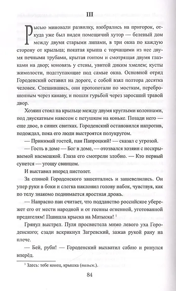 Польский бунт - фото 2