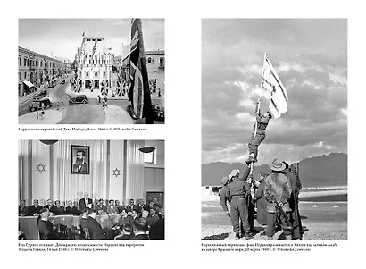 История Израиля: От истоков сионистского движения до интифады начала XXI века - фото 7