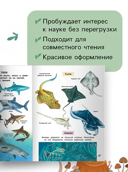 Лучшая энциклопедия для детей - фото 4