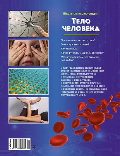 Тело человека - фото 2