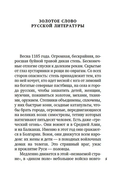 Слово о полку Игореве - фото 9