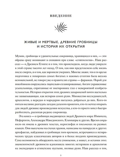 В поисках гробниц Древнего Египта. Тайны Нефертити, Александра Македонского, Клеопатры - фото 4
