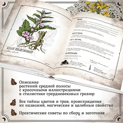 Тайны и магия растений. Путеводитель по миру трав и деревьев - фото 5