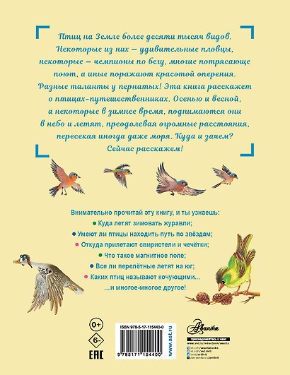 Куда летят перелётные птицы? - фото 2