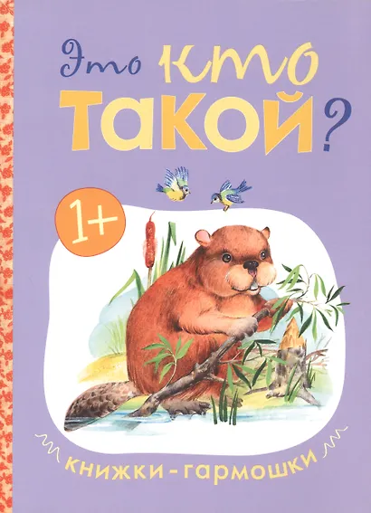 Книжки-гармошки (комплект из 4 книг) - фото 4