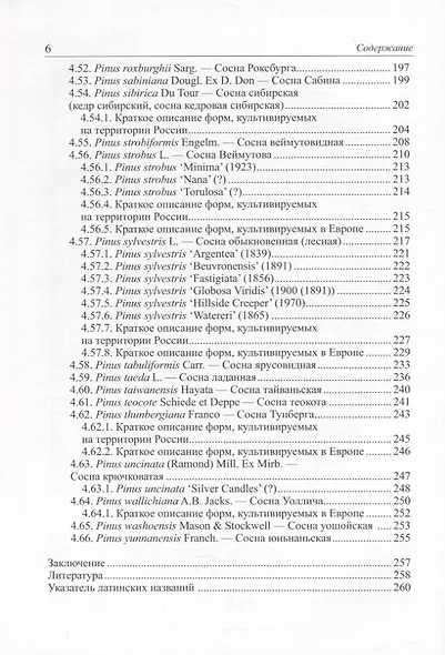 Виды и формы хвойных, культивируемые в России. Часть 4. Сосна - фото 5