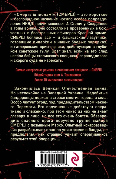 Бой с невидимкой - фото 2