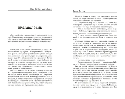 Иван Царевич и серый морг - фото 2