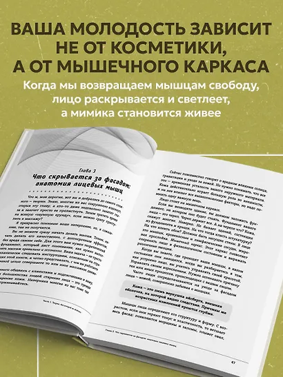 Ваша красота зависит от мышц лица. Как с помощью самомассажа вернуть молодость и сияние в любом возрасте - фото 5