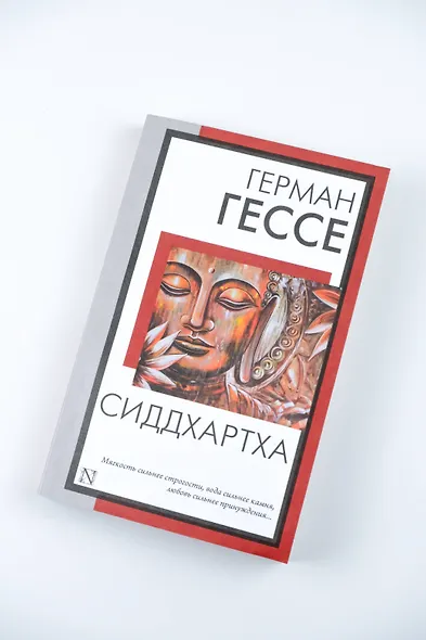 Сиддхартха - фото 5