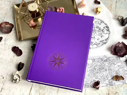 Семь сестер. Потерянная сестра - фото 14