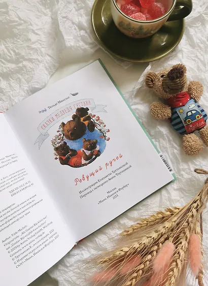 Сказки медведя Густава. Ревущий ручей - фото 8