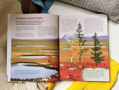 Животные России - фото 10