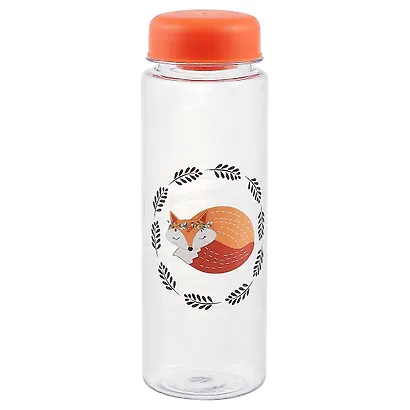 Бутылочка My Fox bottle с сумочкой (500 мл) - фото 3
